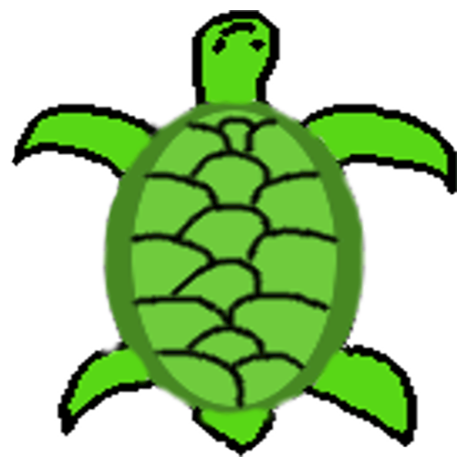 Turtle forward