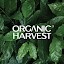 Organic Harvest- Beauty Shop