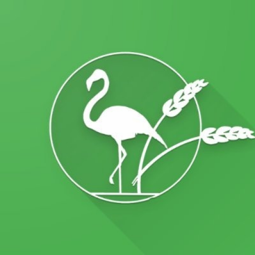 Farmingo ASM logo