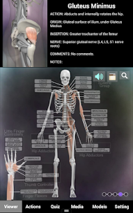 Muskel- und Knochenanatomie 3D APK (kostenpflichtig) 5