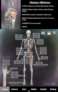 Muscle and Bone Anatomy 3Dのおすすめ画像5