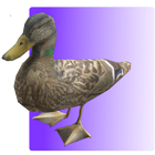 Feed the Duck 3D 1.0