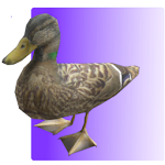 Feed the Duck 3D Apk