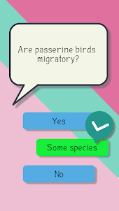 Bird quiz game