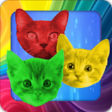 Cat Swap! Kitten Brain Puzzle icon