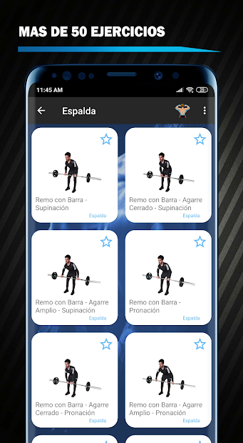 Imágen 14 Entrenamiento de Hombros y Espalda en Casa android
