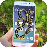 Snake in Phone Hissing Joke icon