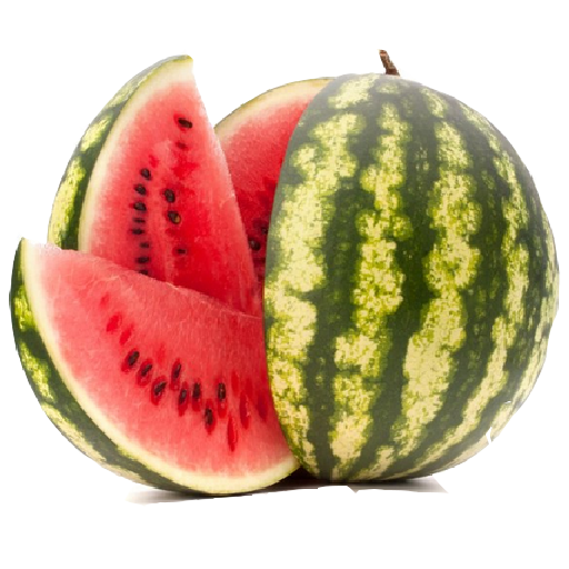 WaterMelon logo