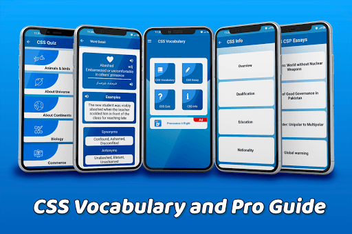 CSS Vocabulary- Pro Guide 3
