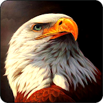 Cover Image of डाउनलोड Eagle Wallpapers 1.0 APK
