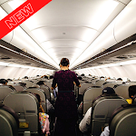 Cover Image of Tải xuống How to Become a Flight Attendant - Study 1.3 APK