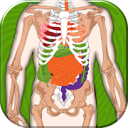 Top 29 Trivia Apps Like Human Body Anatomy Quiz - Best Alternatives