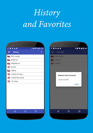English-Czech Dictionary Pro Screen 3