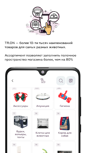 TRIOL online Screen 3