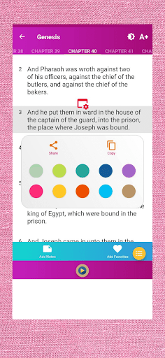 Bible for Women Screen 2