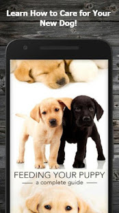 How to Take Care of a Puppy (Guide) 1.3 APK + Mod (Free purchase) for Android