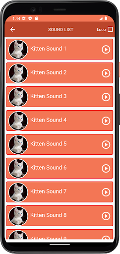 Kitten Sounds Screen 3