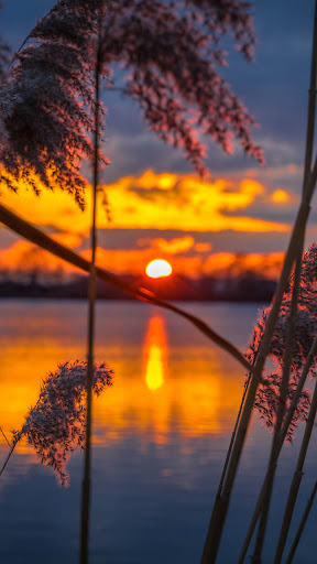Sunset Wallpaper Screen 3