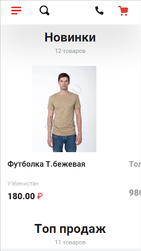 Интернет-магазин BirlikGroup Screen 2