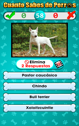 Cuanto Sabes de Perros