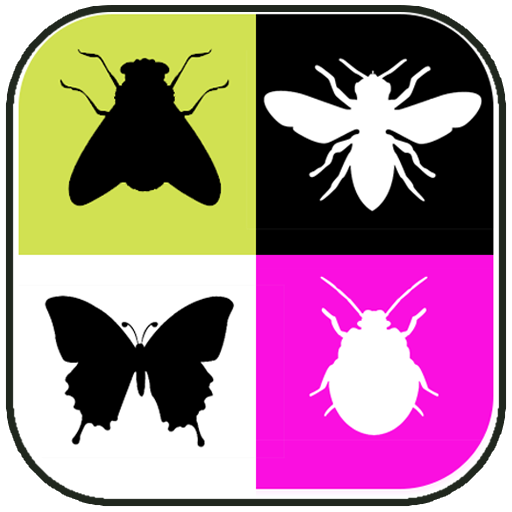 Insects Soundboard App  Icon