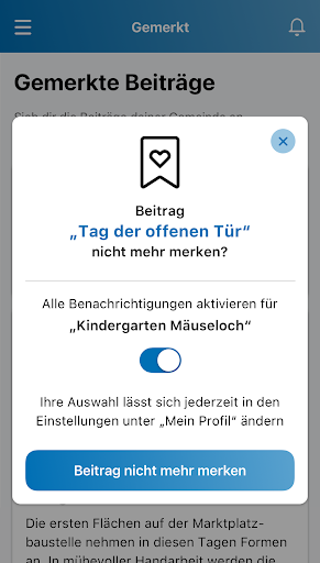 Pfullingen Screen 3