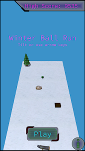 Winter Ball Run