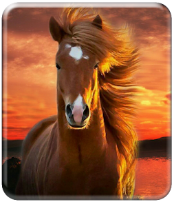 Horse Taustakuva HD – Google Play ‑sovellukset