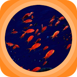 The Red Fish icon