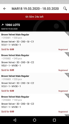Saga Furs Online Auction Screen 2