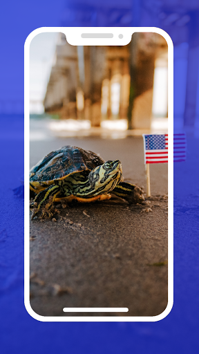 4K USA Flag Wallpapers