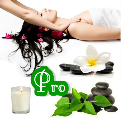 Body Massage Vibration Pro 1.1 Icon