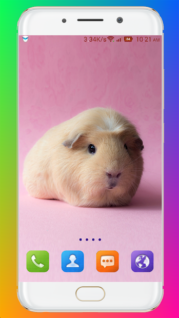 Captura 3 Guinea Pig Wallpaper android