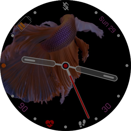 BFF24 - Animation Siames Fish screenshot 21