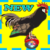 Crazy Chicken On A Hoverboard icon