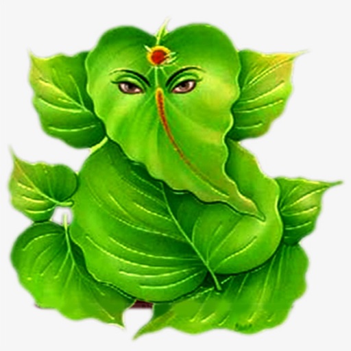 Shree Ganesh Computer logo