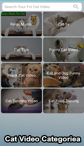 Android application Mp3 Paw Music Video screenshort