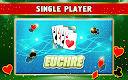 screenshot of Euchre Offline - Single Player