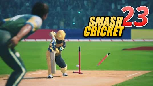 Bat Ball Game: Cricket Game 3D