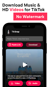 TikSnap: Downloader for TikTok