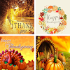 Thanksgiving HD Wallpapers icon
