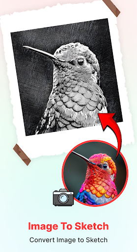 Android application AR Drawing: Sketch Art & Paint screenshort