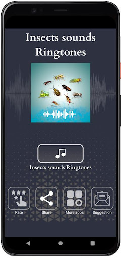 Insects sounds