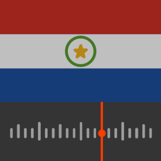 Paraguay Radio Stations (AM/FM logo