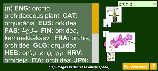 Multi Lingual Wordnet