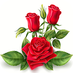 Cover Image of Tải xuống Amazing Flowers Images Gif Rose Stickers Wallpaper 2.7.9 APK