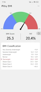 Pithy BMI
