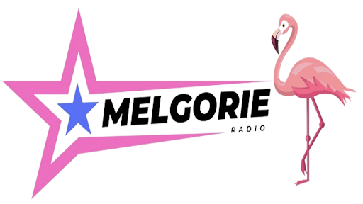 Melgorie Radio Screen 3