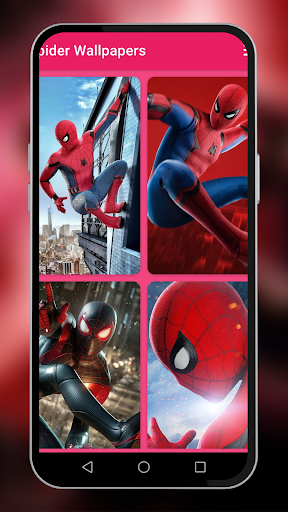 Spider 4K Wallpaper Man