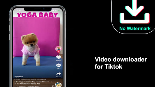 Video downloader for tiktok 2021